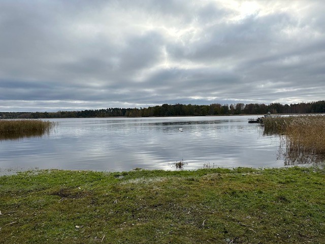Dragsvik
