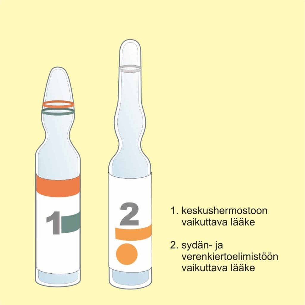 T2023-E1_Kuva1