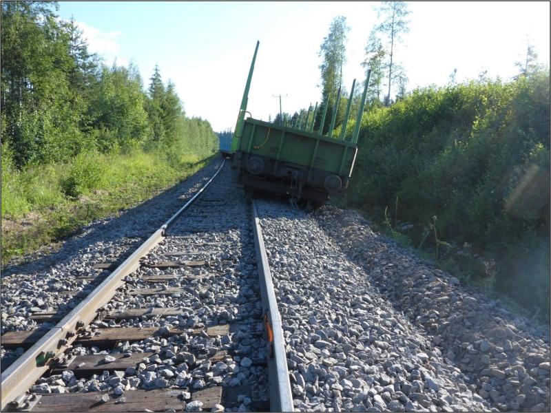 vesanka_suistuminen_800
